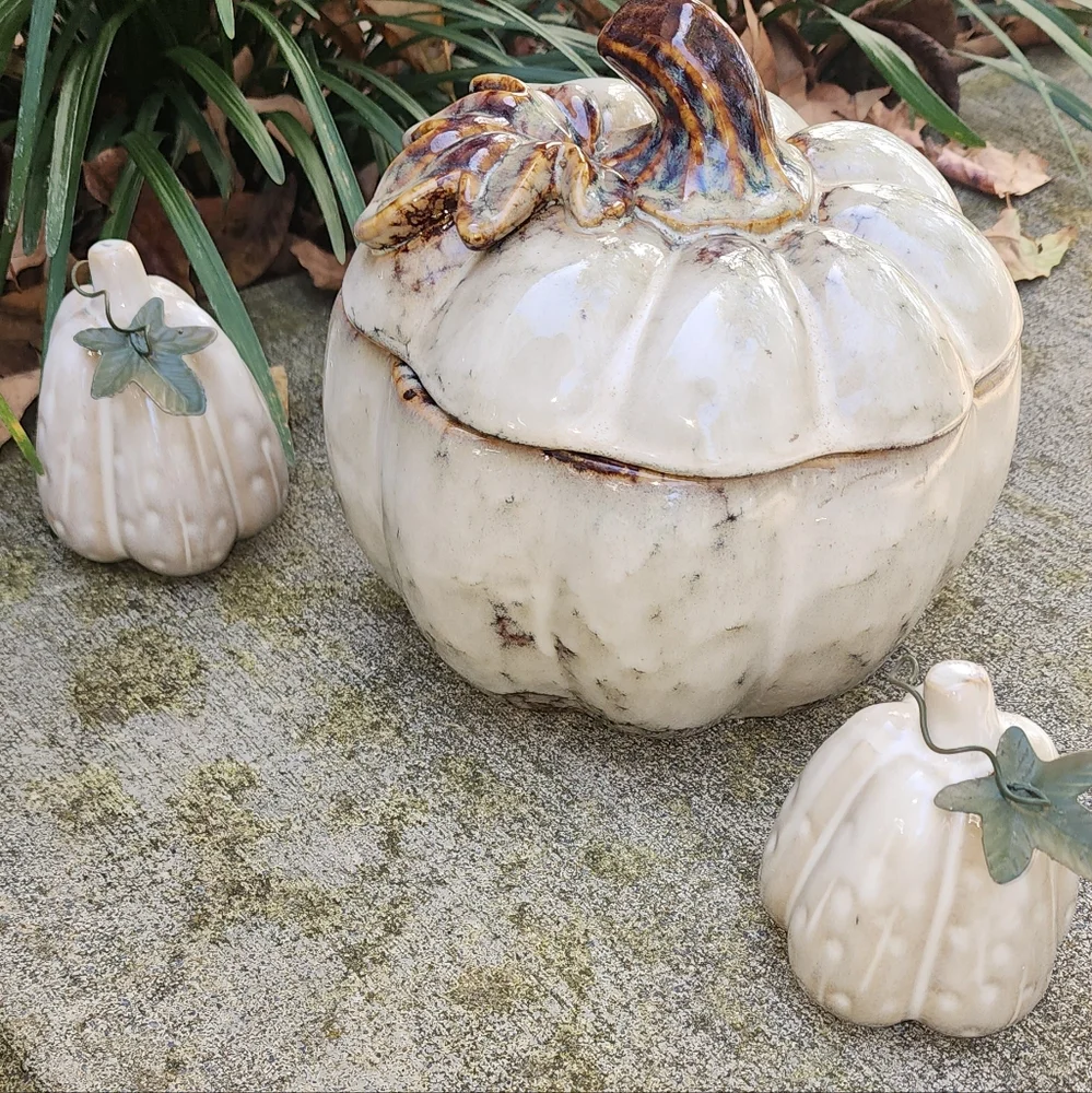 Ceramic Pumpkin Decor Set in Cream - Picture 4 of 6